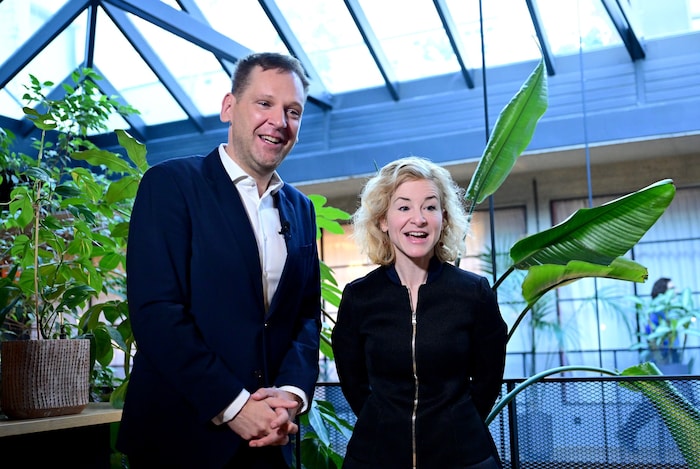 Palmenhaus-Stimmung im Hotel Gilbert