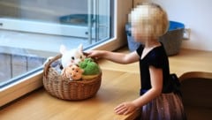 Geht es um die Kinder- und Jugendhilfe, ziehen die Länder an einem Strang.