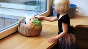 Geht es um die Kinder- und Jugendhilfe, ziehen die Länder an einem Strang.