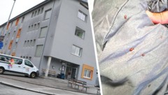 Bettwanzenplage ohne Ende in der Notschlafstelle am Schusterbergweg in Innsbruck