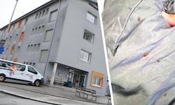 Bettwanzenplage ohne Ende in der Notschlafstelle am Schusterbergweg in Innsbruck