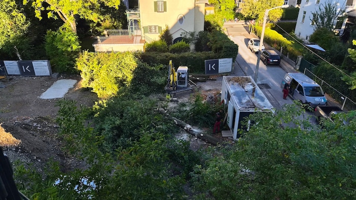 Ohne Vorwarnung gefällt: Von den Linden in der Purtschellergasse ist nichts mehr übrig.