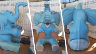 Der Elefant wurde im Zuge der Beckensanierung abgebaut. Im „Urwald-Ensemble“ wird ihn künftig ...