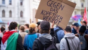 Zu den Demos riefen linke Gruppen, darunter SPÖ-Jugendorganisationen, auf. 