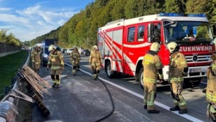 19 Mann der Feuerwehr Hallein waren im Einsatz. 