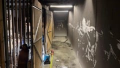 Zwei Keller brannten in diesem Wohnhaus. Der Verdächtigte gestand einen der Brände gelegt zu ...