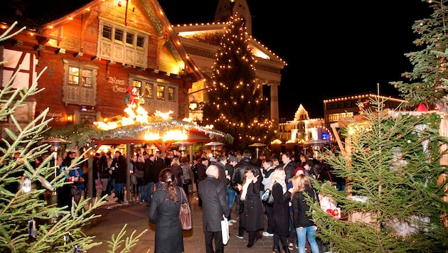 Wer stiftet die heurigen Weihnachtsbäume für Dornbirn?
