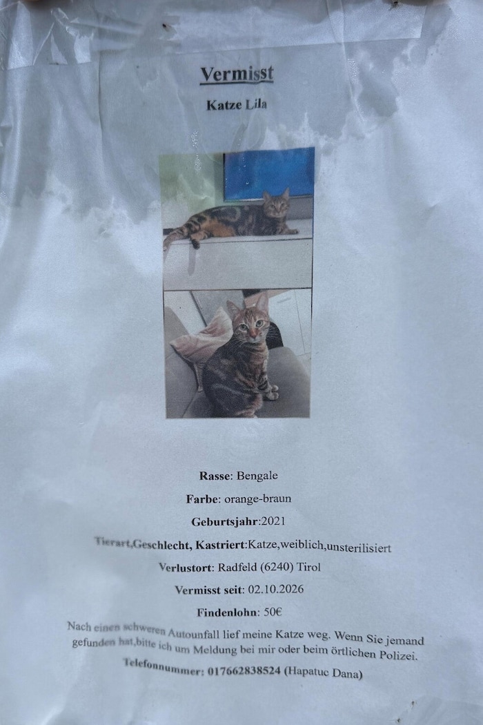 Die Familie hat Plakate mit Kontaktdaten (Vorwahl für Deutschland wichtig) nahe der Unfallstelle ...