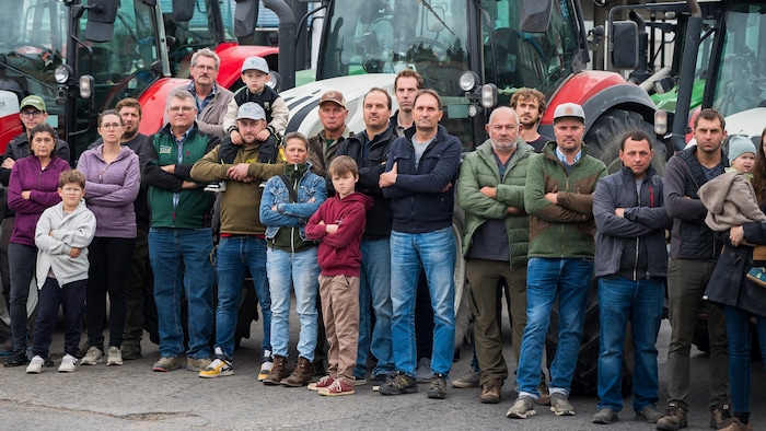 The affected workers and farmers are hoping for a solution that will secure the long-term supply ...