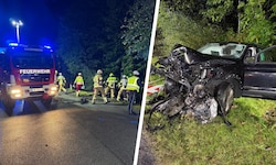 Das Auto wurde komplett demoliert. Die Feuerwehr musste den Lenker aus dem Wrack befreien.