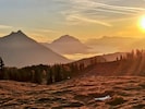 Am Freitag erwartet uns im Großteil Österreichs zumindest ein bisschen Sonne.