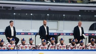 Die Eisbullen bekommen in der Offensive Zuwachs.