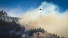 Verheerende Waldbrände wie heuer im Lesachtal richten enorme Schäden an.