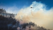 Verheerende Waldbrände wie heuer im Lesachtal richten enorme Schäden an.