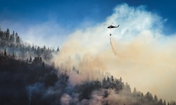 Verheerende Waldbrände wie heuer im Lesachtal richten enorme Schäden an.