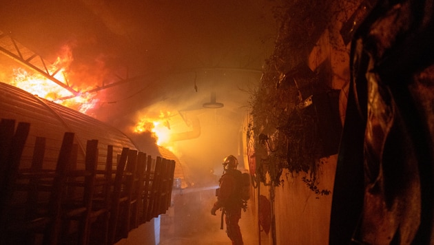 Der Marché des Enfants rouges wurde ein Raub der Flammen.