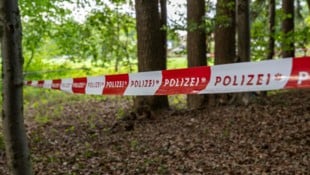 Hier im Wald an der Ager wurde die Leiche von spielenden Kindern gefunden.