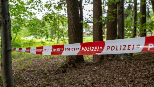 Hier im Wald an der Ager wurde die Leiche von spielenden Kindern gefunden.