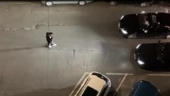 Mit einer Seelenruhe werden Fotos und Videos der Protzkarren gemacht – dahinter bricht das Chaos ...
