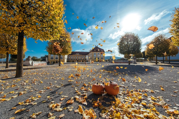 Schloss Hof ist ein besonders beliebtes Ausflugzsziel in Niederösterreich, ein Drittel der ...