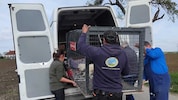 Die Anforderungen an die Tierretter sowie die Zahl der zu betreuenden Schützlinge werden nicht ...
