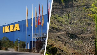 Für IKEA wird statistisch alle zwei Sekunden ein Baum gefällt. Das Unternehmen verspricht, ...