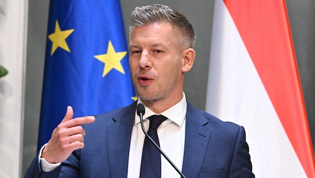 Ungarns Premier Péter Magyar setzte sich für die Aufhebung von LGBTQ-Verboten ein.