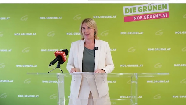 Bei einer Pressekonferenz am Dienstag sprach Helga Krismer über eine Idee der Grünen zur ...
