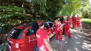 Die Tierengel Austria waren erst kürzlich gefordert, als Papageien eingefangen werden mussten.