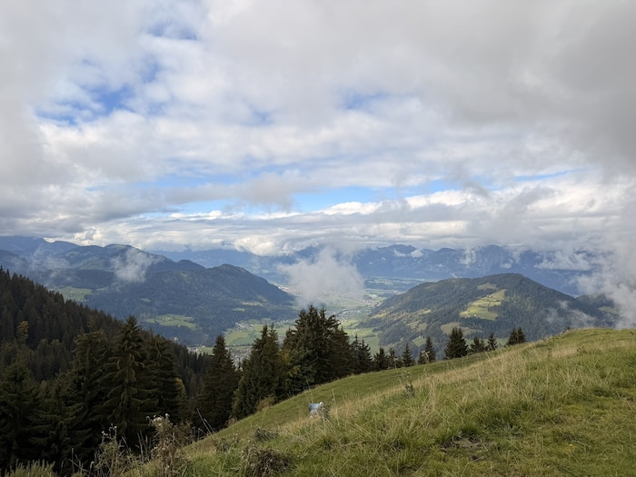 Spielerisch die Natur entdecken: Genau das macht den Familientag so besonders.