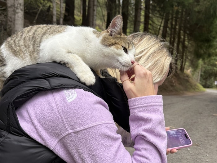 Streicheleinheiten inklusive! Die kleine Katze stiehlt der Bergkulisse fast die Show.