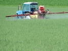 Um den Einsatz von Spritzmittel in der Landwirtschaft ist ein Gerichtsstreit entbrannt.