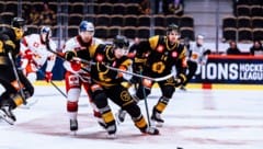 Jayden Lee und die Eisbullen taten sich gegen die Schweden schwer.