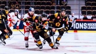 Jayden Lee und die Eisbullen taten sich gegen die Schweden schwer.