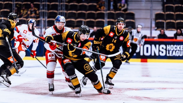 Jayden Lee und die Eisbullen taten sich gegen die Schweden schwer.