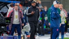 Vincent Kompany (Mitte) ärgerte sich über die Aktion von Michael Olise.