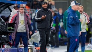 Vincent Kompany (Mitte) ärgerte sich über die Aktion von Michael Olise.
