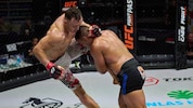 Bei der Cage Fight Series geht‘s zur Sache, am 20. November steigt die 19. Auflage.
