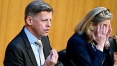 Dengler will ein Volksbegehren zur Parteienförderung, seine Ex-Parteikollegin Meinl-Reisinger ...