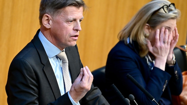 Dengler will ein Volksbegehren zur Parteienförderung, seine Ex-Parteikollegin Meinl-Reisinger ...