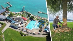 Das Strandbad in Seewalchen erfreut Alt und Jung – sowie unsere tierischen Mitbewohner.