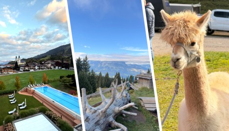 Die Kitzbüheler Alpen bieten jede Menge Abwechslung für einen gelungenen Herbsturlaub.