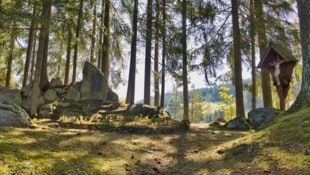 Fünf Stunden sind für diese Wanderung, die mit viel Geschichte und Natur aufwartet, einzuplanen.