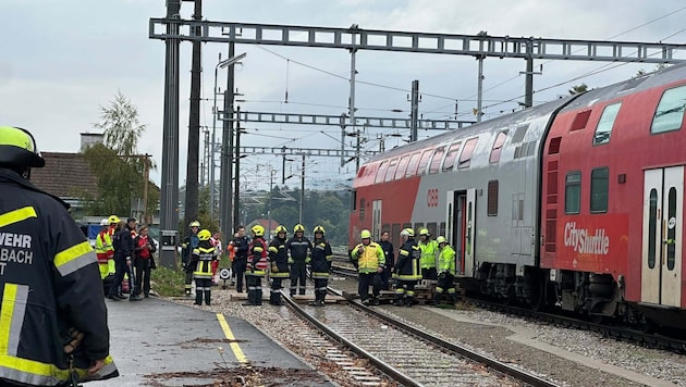 Feuerwehren sorgten dafür, dass alle 40 Personen unbeschadet den Zug verlassen und zum nächsten ...