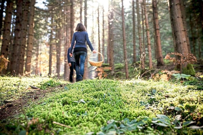 Holzofen, Natur, Ruhe und wenig Ablenkung bestimmen den Aufenthalt in der Brandnerhütte.