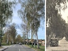 Die Allee heute (li.) und im Jahr 1941 (re.)