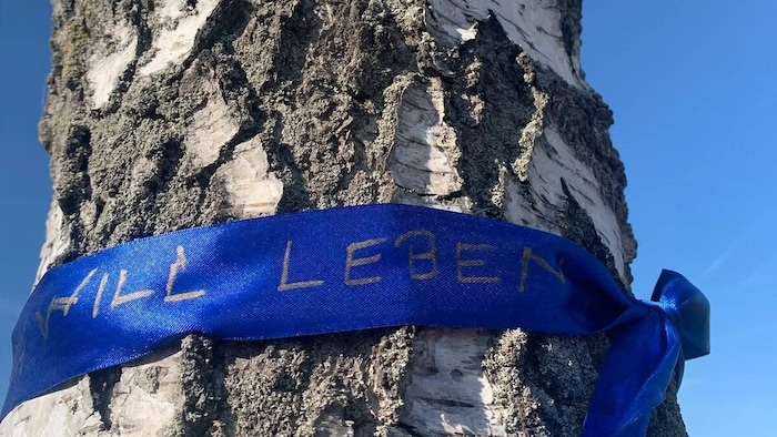 „Ich will leben“, so die Protest-Aufschrift auf den Bäumen, die von den „Baumstimmen“ angebracht ...