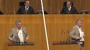 Ex-Vizekanzler und Ex-Grünen-Chef Werner Kogler war am Mittwoch im Nationalrat  äußerst ...