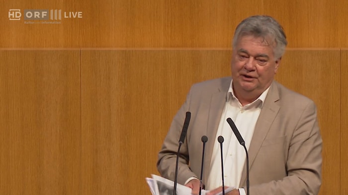 Werner Kogler (Grüne) während seiner Rede am Mittwoch im Nationalrat.