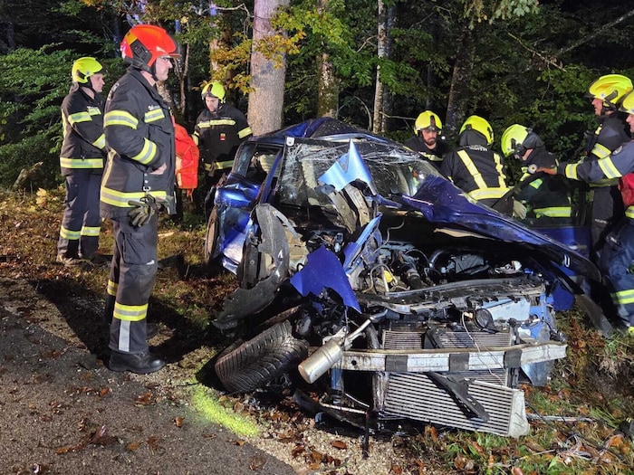 Der Beifahrer verstarb noch an der Unfallstelle.